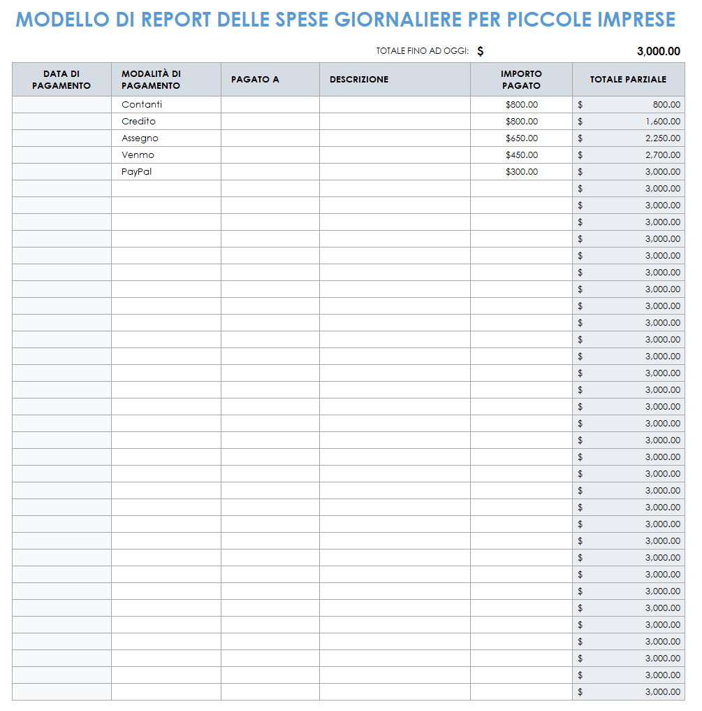 Resoconto spese giornaliere per piccole imprese