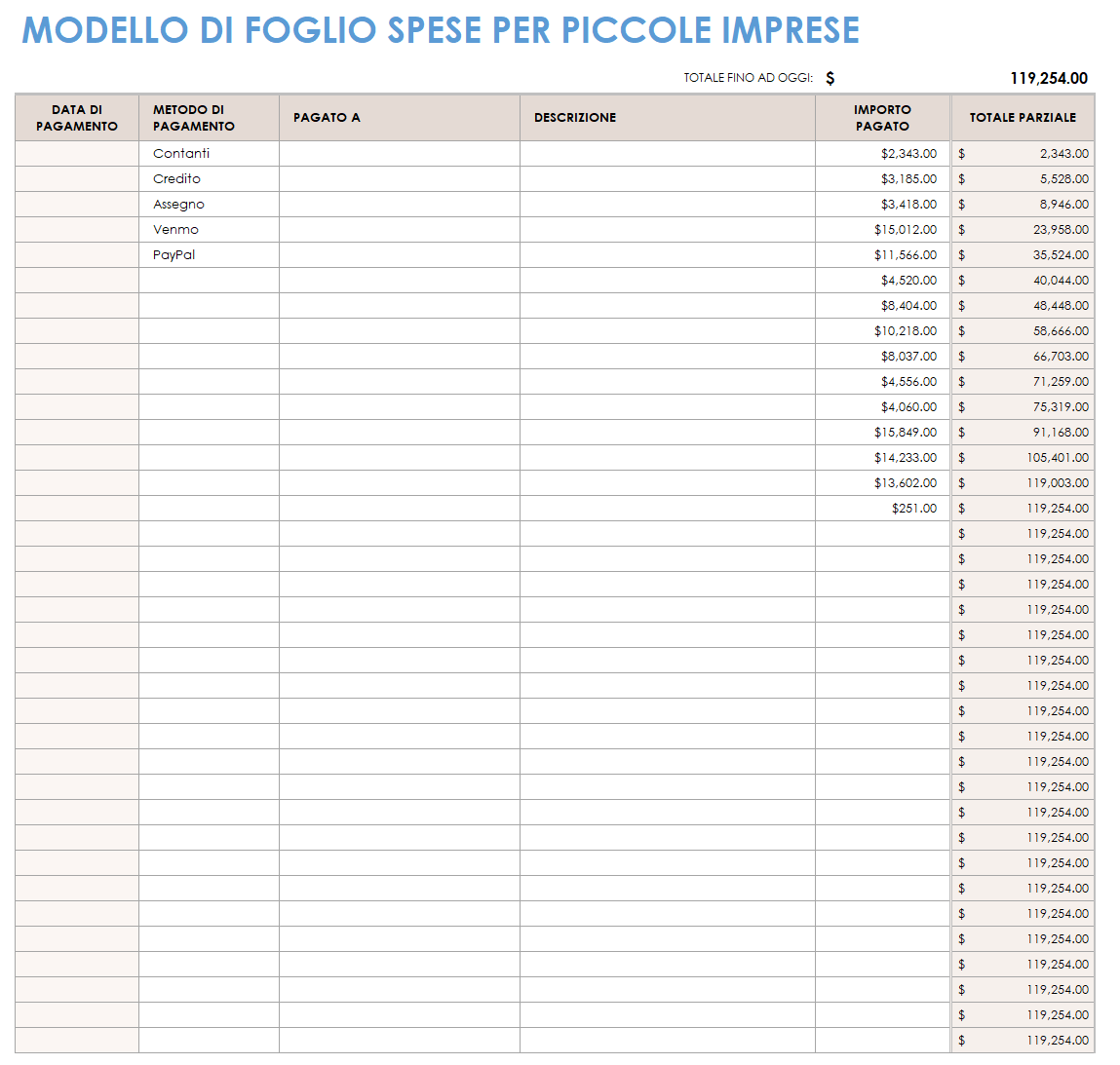 Foglio spese per piccole imprese