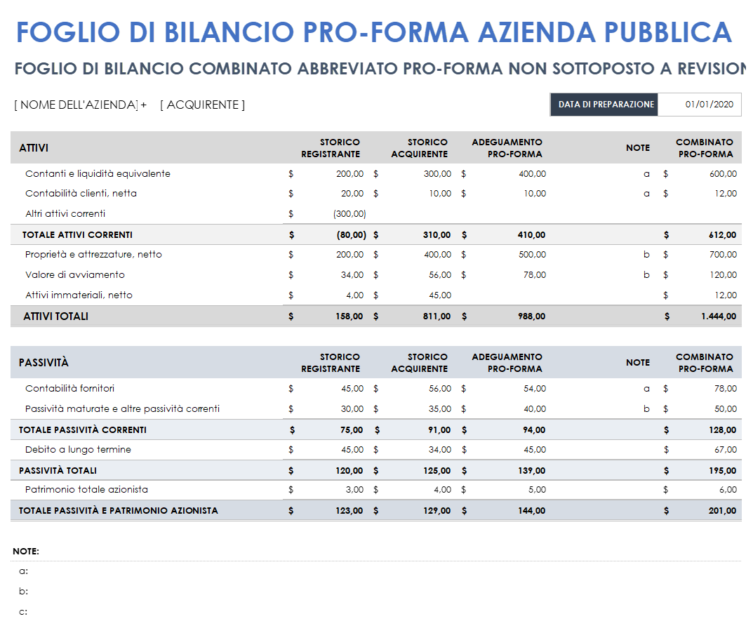  Modello di Bilancio Pro Forma di Società Pubblica