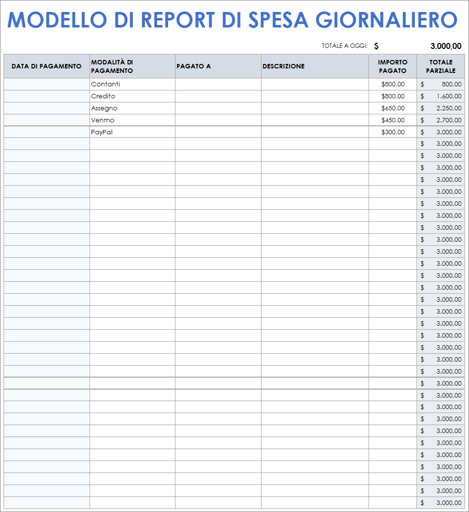  Modello rapporto spese giornaliere