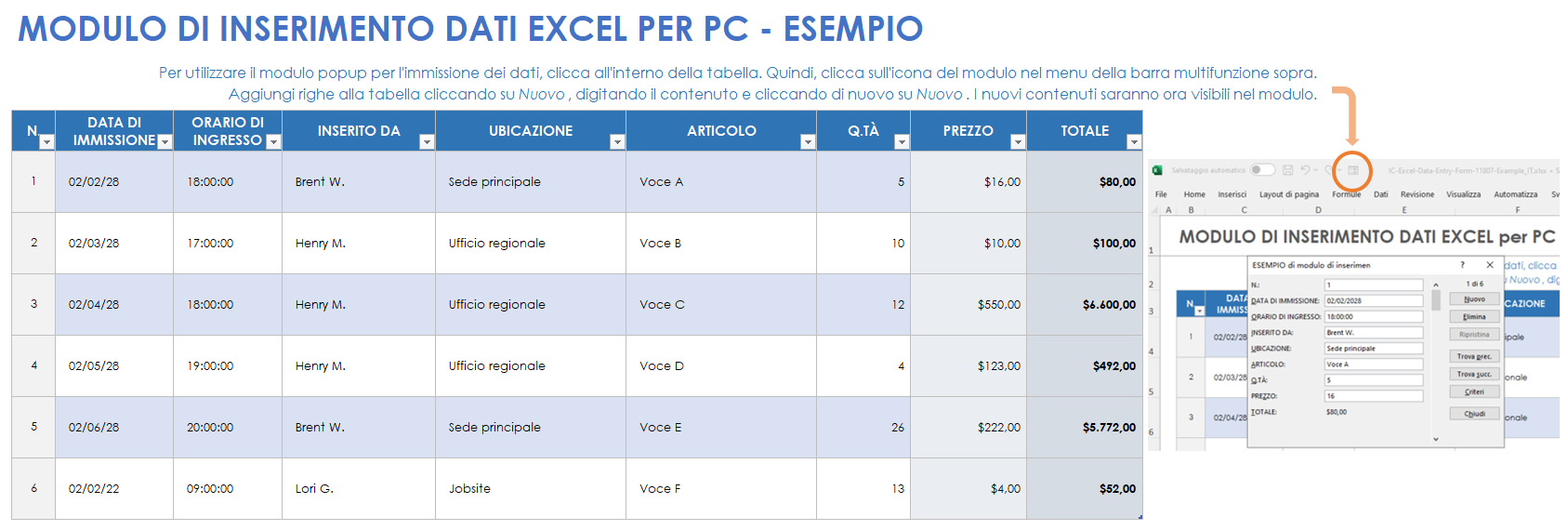 Esempio di modello di modulo di immissione dati Excel