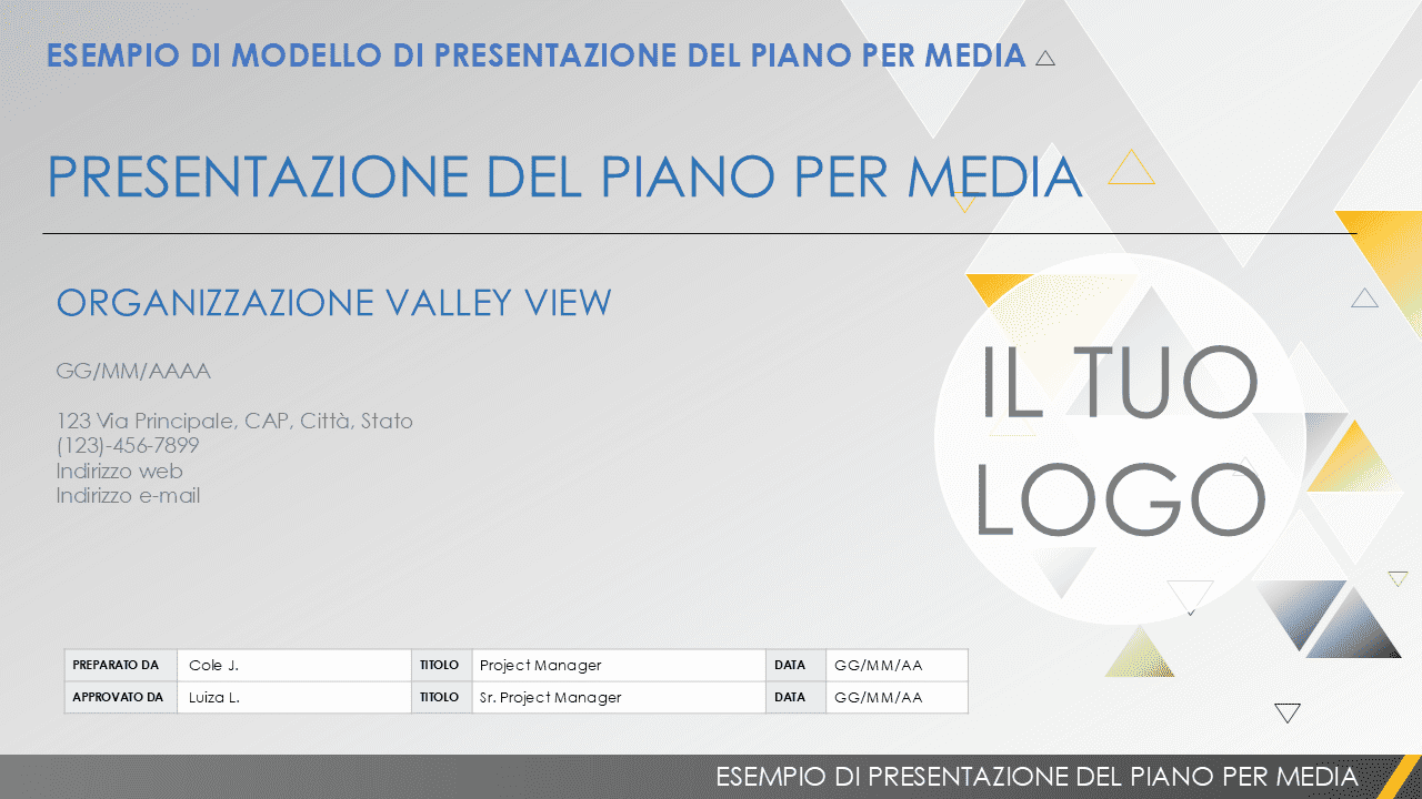 Modello di esempio di presentazione del piano media