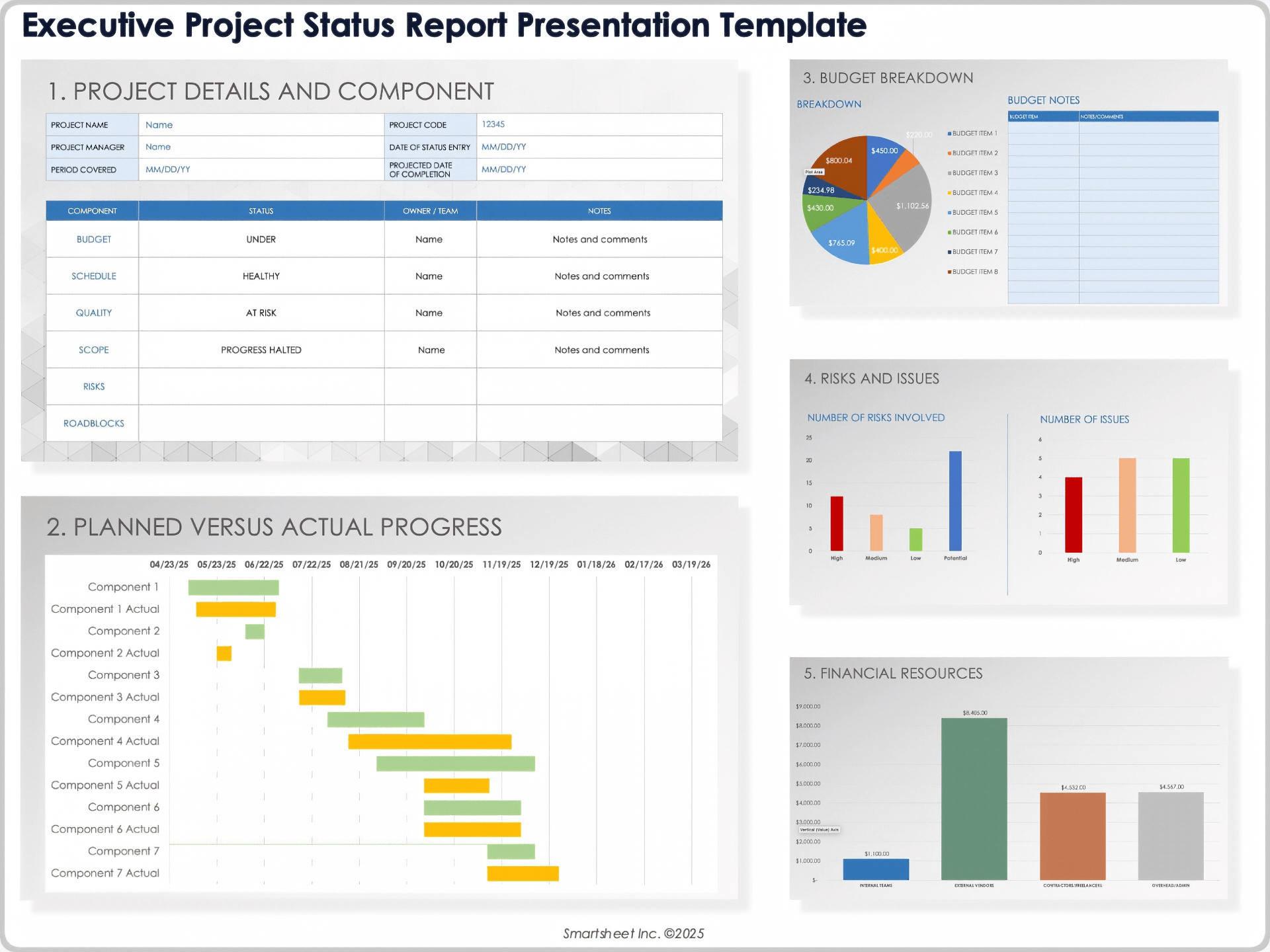 Modello di presentazione del report sullo stato del progetto esecutivo