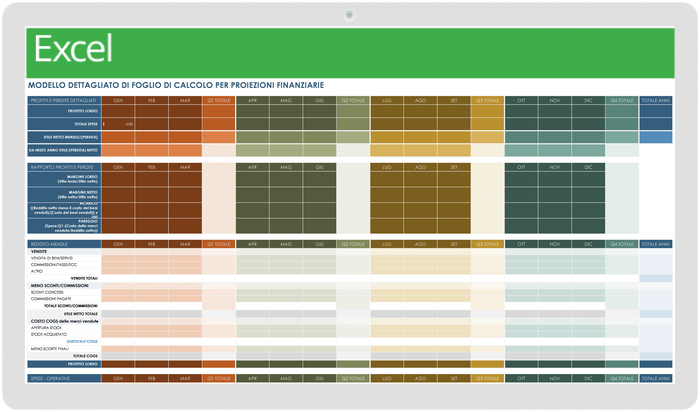 Modello dettagliato di proiezioni finanziarie