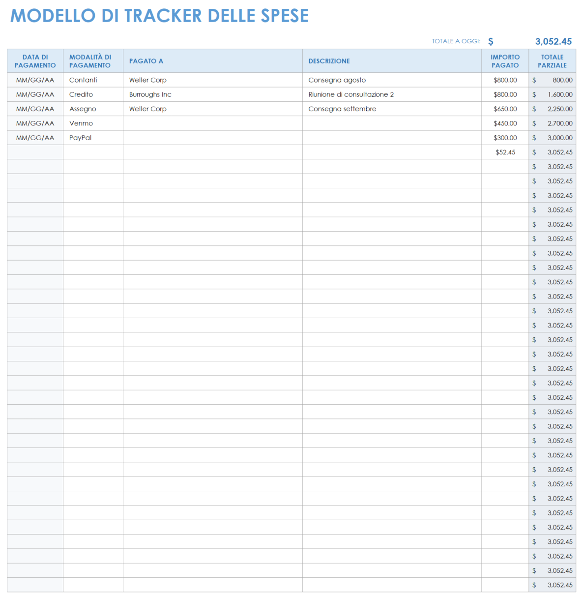 Modello di monitoraggio delle spese