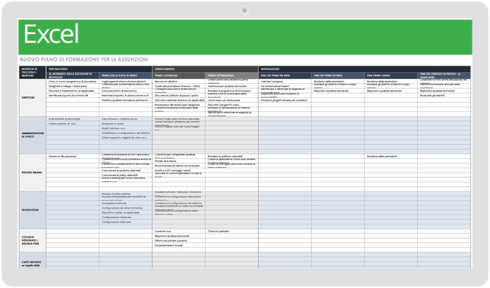 New Hire Training Plan 37233 - IT