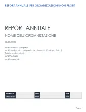 Modello di report annuale per organizzazione no profit